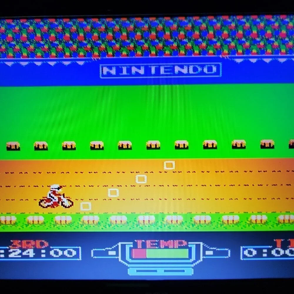 Nintendo pet non
